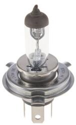 Bosch Bec, far faza lunga BOSCH ECO Truck WS 1 987 302 862 (1 987 302 862)