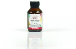 ArtExport Művészellátó festőszer - 100 ml