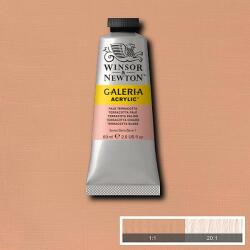 Winsor & Newton Galeria akrilfesték, 60 ml - 437, pale terracotta