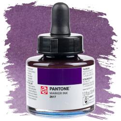 Royal Talens Talens Pantone marker tinta, 30 ml - 2617