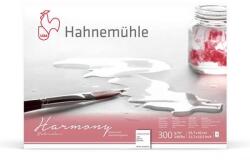 Hahnemühle akvarelltömb, Harmony, 300 g - 12 lap, A3, félérdes