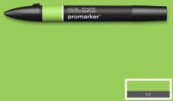 Winsor & Newton ProMarker kétvégű alkoholos filctoll - G258, leaf green