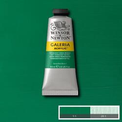 Winsor & Newton Galeria akrilfesték, 60 ml - 484, permanent green middle