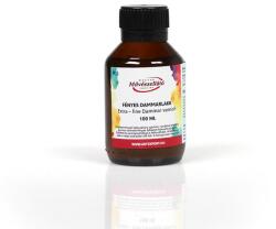 ArtExport Művészellátó dammárlakk, fényes - 100 ml