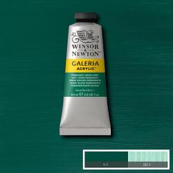 Winsor & Newton Galeria akrilfesték, 60 ml - 482, permanent green deep