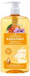KARAVAKI Sampon pentru stralucirea parului, 600ml, Karavaki