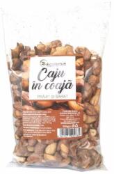 EcoNatur Caju in coaja prajit si sarat, 500g, EcoNatur