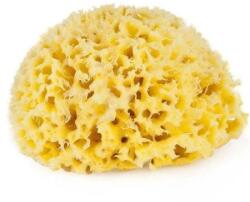 Dr. Brown's Burete natural de mare Honeycomb Spugnificio Bellini nr. 8, 1 bucata, Dr. Brown's