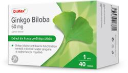 Dr. Max Ginkgo Biloba 60mg, 40 capsule moi