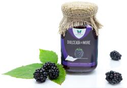 Sweeteria Dulceata de mure fara zahar, 300g, Sweeteria