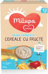 Milupa Cereale cu fructe Buna Dimineata, +12 luni, 250g, Milupa - drmax