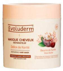 Evoluderm Masca reparatoare pentru par Délice de Karité, 500ml, Evoluderm