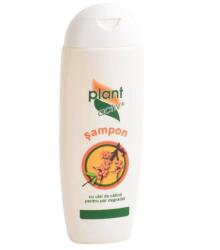 Plant Activ Sampon cu ulei de catina, 200ml, Plant Activ