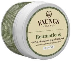 Faunus Plant Unguent pentru dureri reumatice Reumaticus, 50ml, Faunus Plant