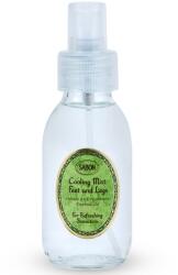 Sabon Crema de picioare spray, 100ml, Sabon