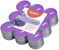 Bolsius True Scents Levander 18 db