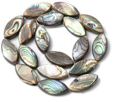 Abalone Paua Kagyló (3) Gyöngy 22x11-13x4-6mm