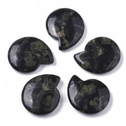  Kambaba Jáspis Ammolit Csiga Forma Ásvány Marokkő 25x21x5mm