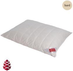 HEFEL Wellness Zirbe fejpárna 60x80 cm