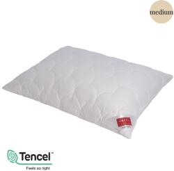 HEFEL Edition 101 fejpárna 40x80 cm