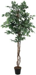  EUROPALMS Variegated Ficus, artificial plant, 180cm (82506116)