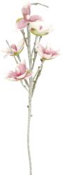 EUROPALMS Magnolia branch (EVA), artificial, white pink (82530587)