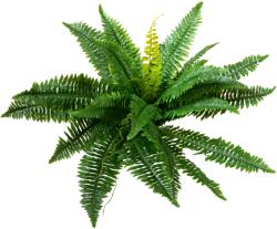 EUROPALMS Boston Fern, artificial plant, 53cm (82519934)