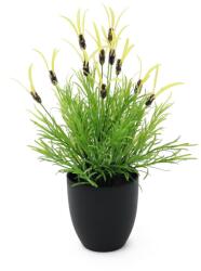  EUROPALMS Feather lettuce, artificial, 40cm (82505639)