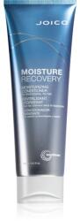 Joico Moisture Recovery balsam hidratant pentru par uscat 250 ml