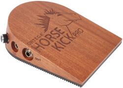 Ortega HORSEKICKPRO - kytary