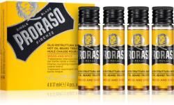 Proraso Wood and Spice Hot Set tratament intensiv cu ulei pentru barba si mustata deasa si aspra 4 x 17 ml