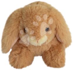 Histoire d'Ours Iepuraș de pluș Bunny Histoire d’ Ours diferite culori 17 cm de la 0 luni (HO3000)