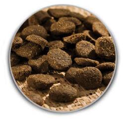 Happy Dog Sensible Ireland 12, 5 kg + 2 kg GRÁTISZ