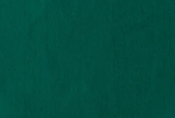 CreArt Barkácsfilc Puha kb. 21x30 cm Sötétzöld (FEBD0066)
