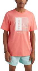 O'Neill Thayer T-Shirt D