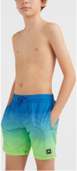 O'Neill Cali Gradient 14 Swim Shorts D