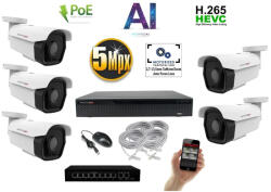  MS - AI IP park kamerarendszer 5 kamerával switchel 5 Mpix - 6185K5B