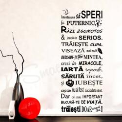 SMAER Sticker text mesaj motivational - Speri, traieste, viseaza - Sticker de perete - M_rime: 120cm*50cm