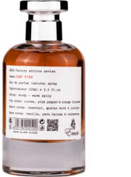 Emir Camp Fire Factory Edition EDP 100 ml