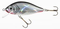 JAXON holo select karaś lures 7, 5cm f sc (VJ-KA8FSC) - nextfish