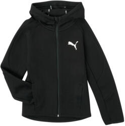 PUMA Hanorace Băieți EVOSTRIPE CORE FZ HOODIE Puma Negru 128 cm