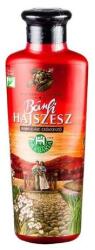Herbária BÁNFI Hajszesz 250 ml - gyogynovenysziget