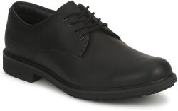 Timberland Pantofi Derby Bărbați EK STORMBUCK PLAIN TOE OXFORD Timberland Negru 44