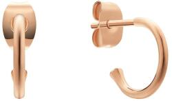 Daniel Wellington fülbevaló DW00400767 - arany Univerzális méret