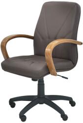 eScaun Scaun de birou ergonomic ✔ model BETA (GGG/Beta Operational Chair/Legs Plastic/Wood Arm)