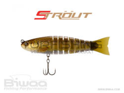 Biwaa SWIMBAIT STROUT 3.5" 9cm 8gr 06 Fario (B000801) - turfishing