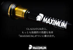Raid RAID MAXIMUM CAST GX-72MHC BALTORO HEAT 218cm (RAID49668)