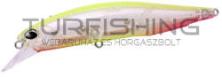 Duo DUO REALIS JERKBAIT 100SP 14.5gr CEA0317 Clear Chart Halo (DUO73494)
