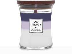 WoodWick Trilogy Evening Luxe 275 g