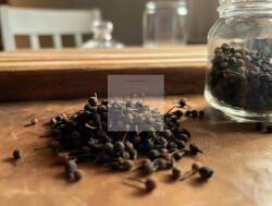  Madagaszkári vadbors prémium minőség 50 g/csomag (Voatsiperifery bors)